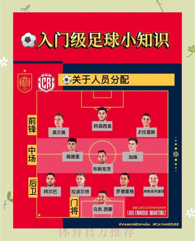 官方详解:世界杯预测教程完整指导